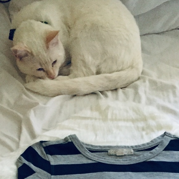 Stripe sweater - Picture 7 of 7